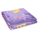 Disney Princess Silk Touch Plush Throw